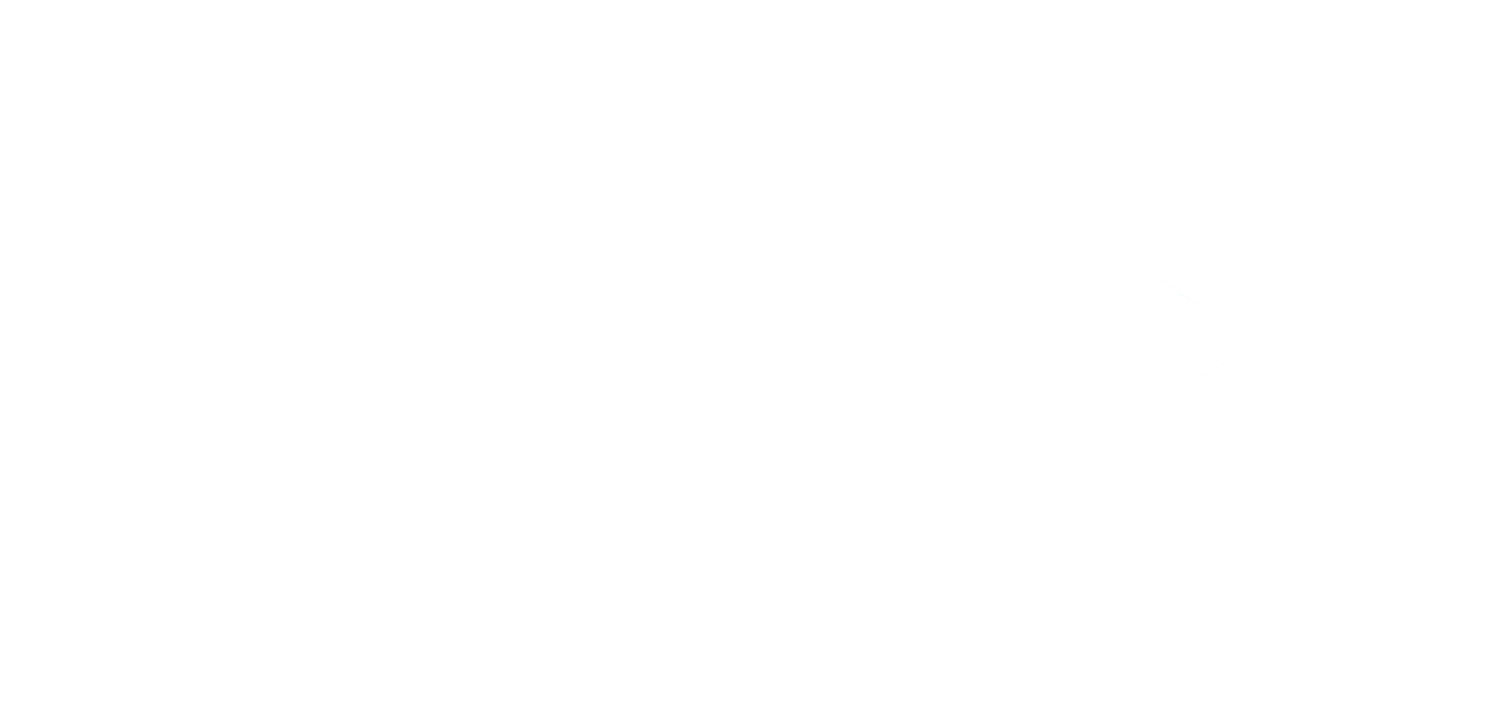 Logo Ibiza1